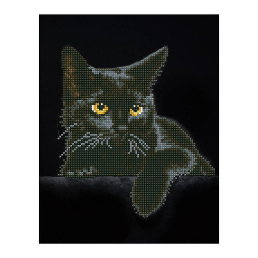 Diamond Painting Schwarze Katze