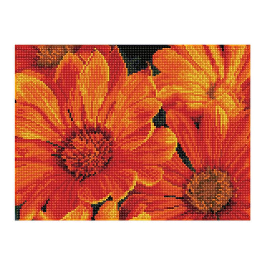 Diamond Painting Mittagsblume