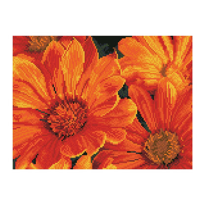 Diamond Painting Mittagsblume