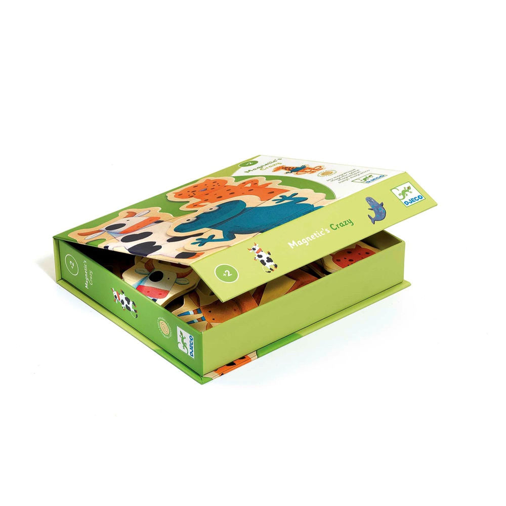 Djeco Magnete Crazy