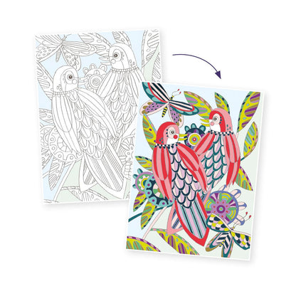 Djeco Colouring Gallery Vögel